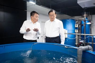 王忠林調研民營企業發展并召開座談會 深化技術推廣服務，激發民營經濟新動能